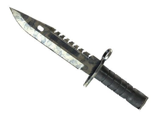 Buy CS2 knife ★ M9 Bayonet | Stained (Battle-Scarred) skin