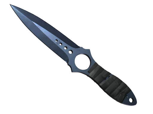 Buy CS2 knife ★ StatTrak™ Skeleton Knife | Blue Steel (Battle-Scarred) skin