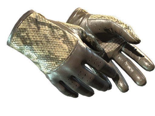 Buy CS2 gloves ★ Driver Gloves | Diamondback (Minimal Wear) skin