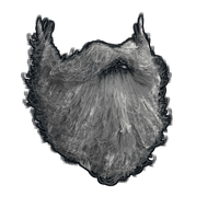 Buy Rust misc Santa Beard skin