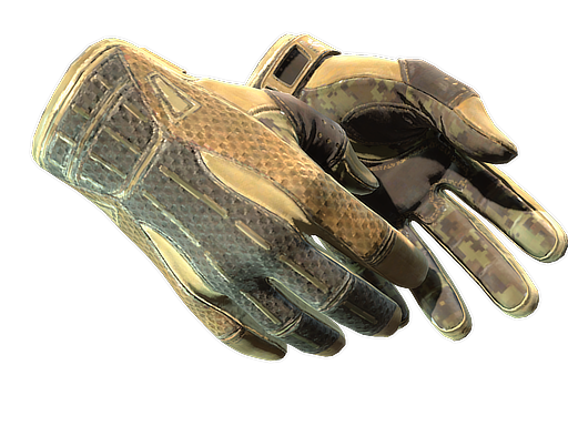 Buy CS2 gloves ★ Sport Gloves | Arid (Field-Tested) skin