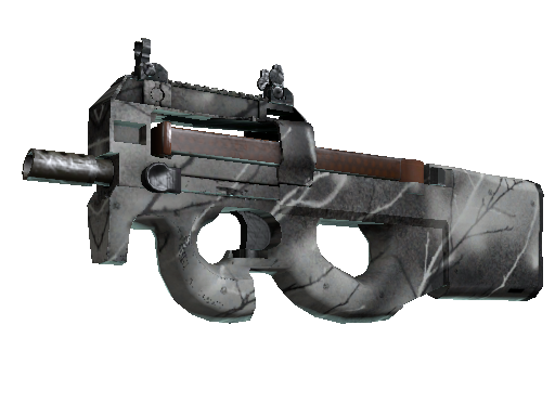 Buy CS2 smg P90 | Ash Wood (Minimal Wear) skin
