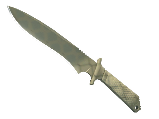 Buy CS2 knife ★ Classic Knife | Safari Mesh (Minimal Wear) skin