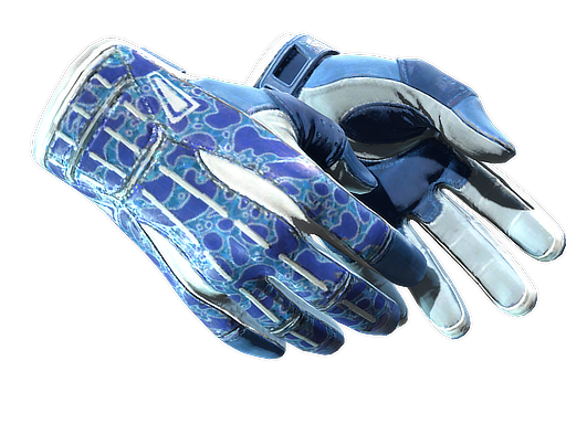 Buy CS2 gloves ★ Sport Gloves | Amphibious (Minimal Wear) skin