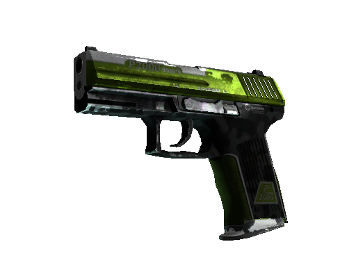 Buy CS2 pistol P2000 | Turf (Battle-Scarred) skin