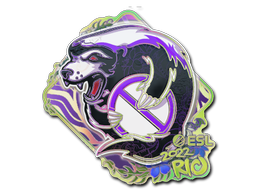Buy CS2 sticker Sticker | Outsiders (Holo) | Rio 2022 skin