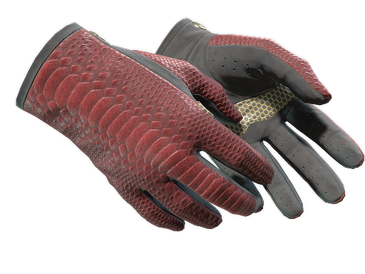Buy CS2 gloves ★ Driver Gloves | Dragon Fists (Minimal Wear) skin