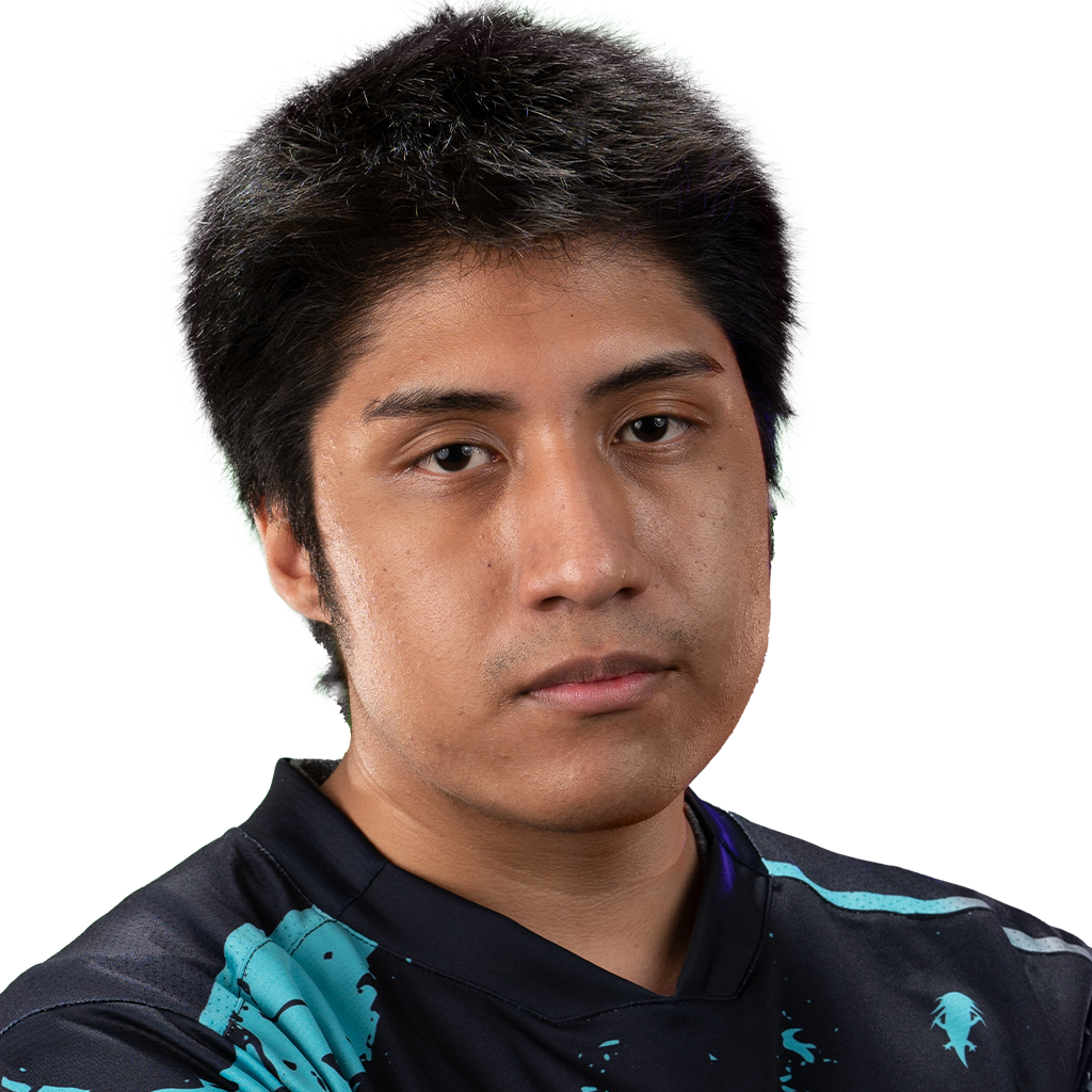 Buy Dota 2 sticker Wisper  Player Sticker - TI 2022 skin