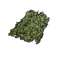 Buy Rust misc Jungle Ivy skin