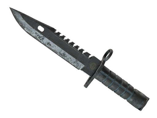 Buy CS2 knife ★ StatTrak™ M9 Bayonet | Night (Battle-Scarred) skin