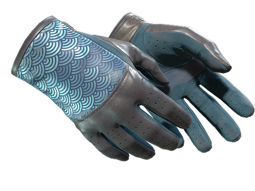 Buy CS2 gloves ★ Driver Gloves | Seigaiha (Well-Worn) skin