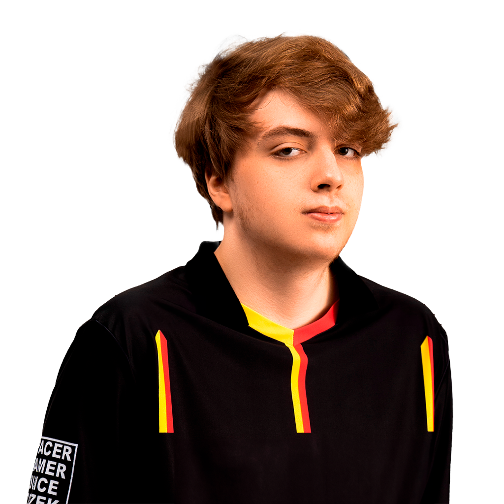 Buy Dota 2  Glitter Nightfall Player Sticker - TI 2023 skin